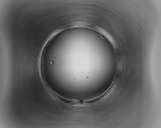 X0000102511146200808081405