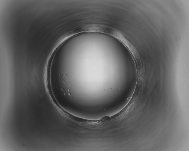 X0000102511147200808081405