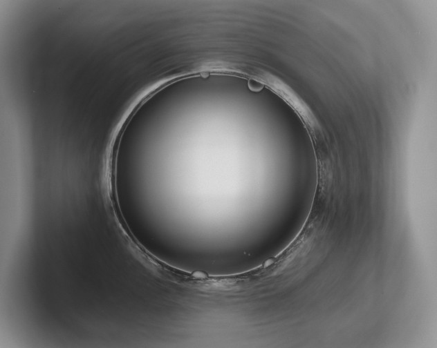 X0000102511148200808081405