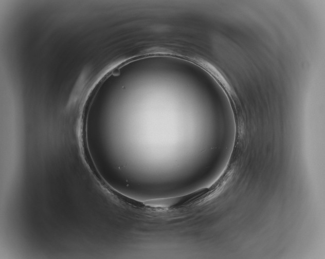 X0000102511149200808081405