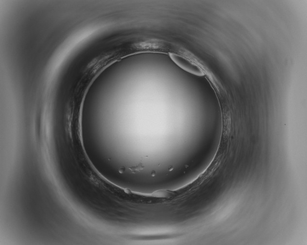 X0000102511151200808081405