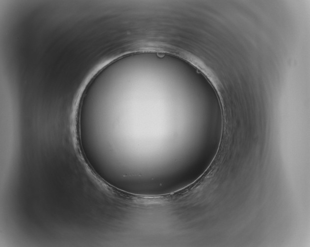 X0000102511152200808081405