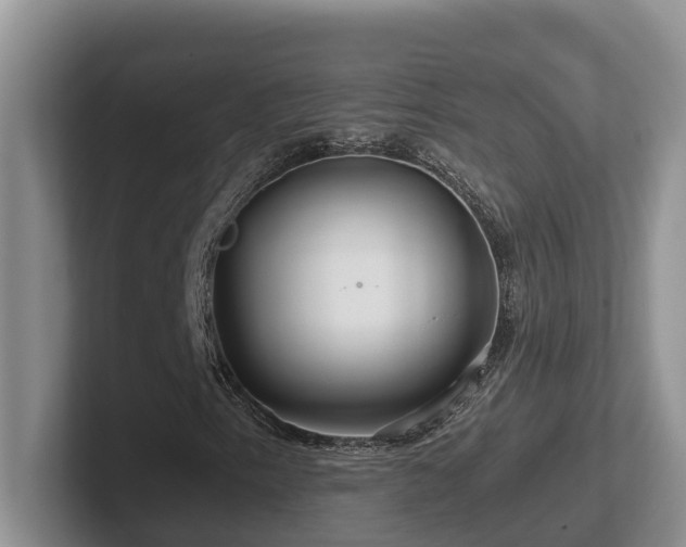 X0000102511153200808081404