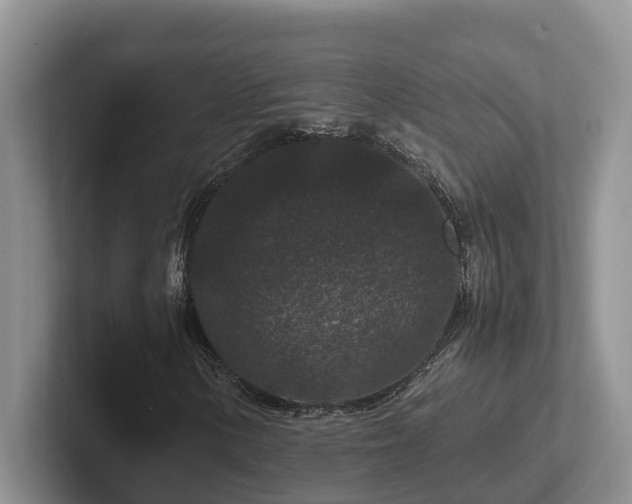 X0000102511154200808081404
