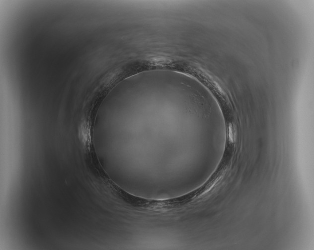 X0000102511155200808081404
