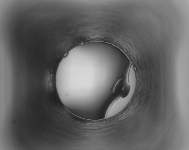 X0000102511156200808081404