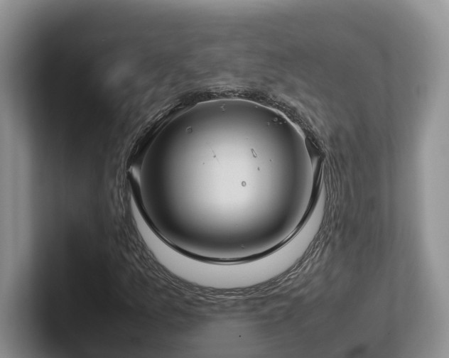X0000102511157200808081404