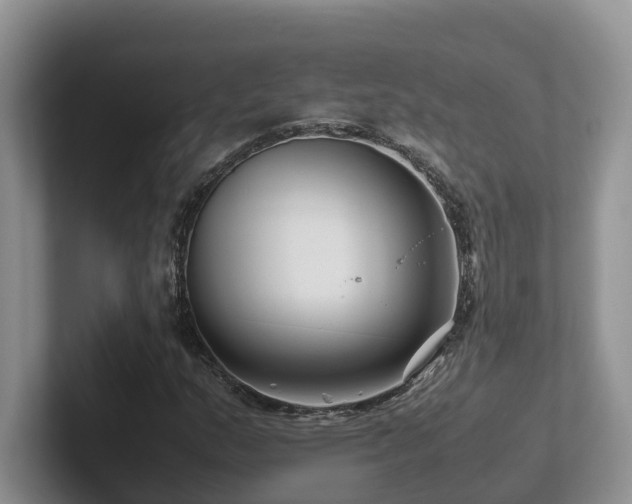 X0000102511159200808081404