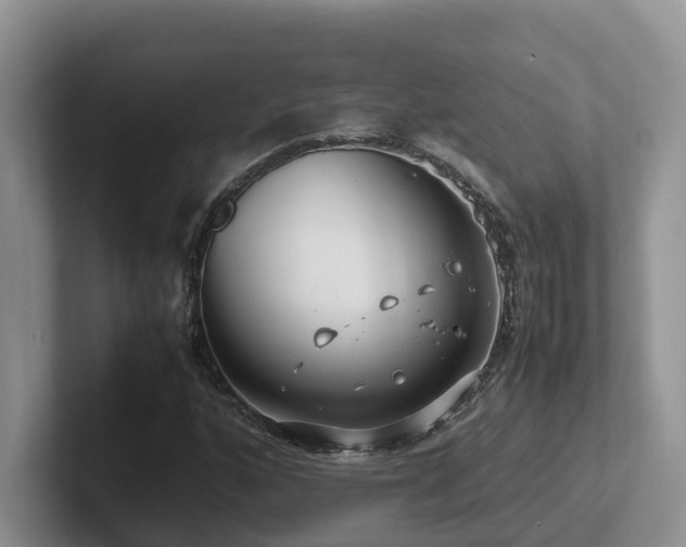 X0000102511160200808081404