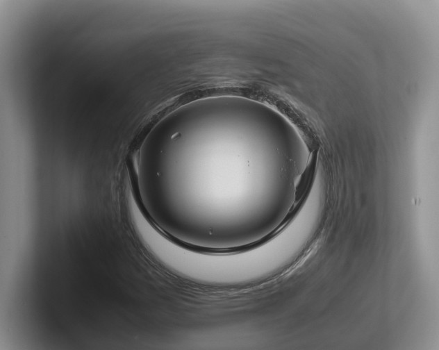 X0000102511161200808081404