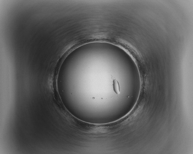 X0000102511162200808081404
