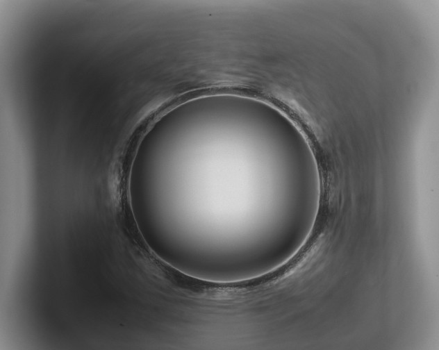 X0000102511163200808081404