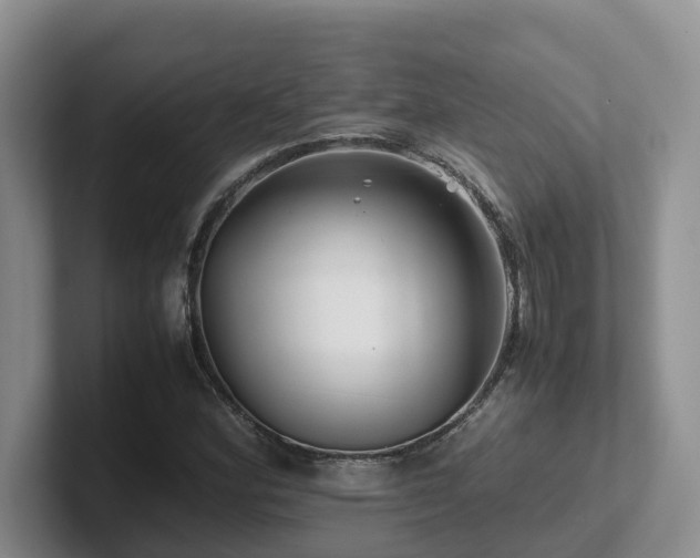 X0000102511164200808081404