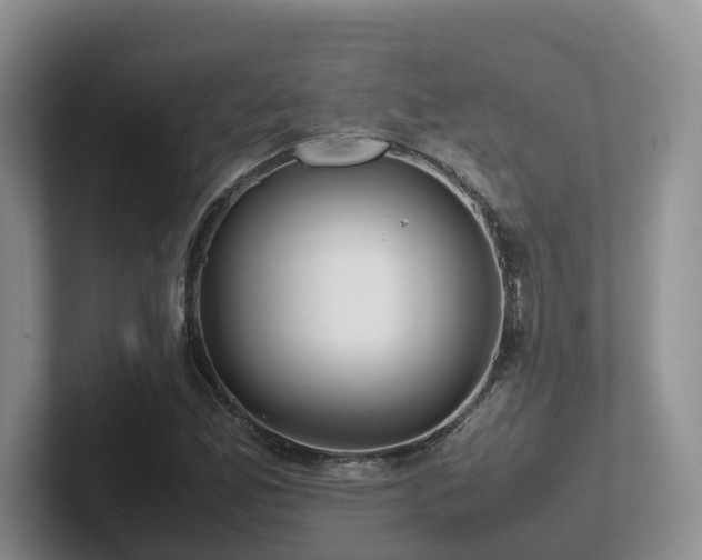 X0000102511165200808081404