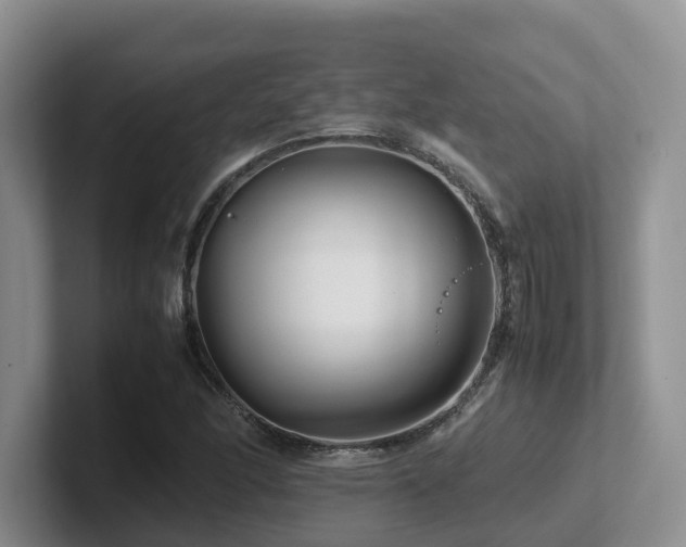 X0000102511166200808081404