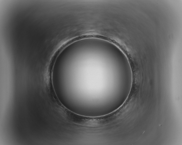 X0000102511167200808081404