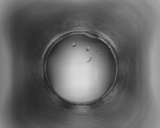 X0000102511168200808081404
