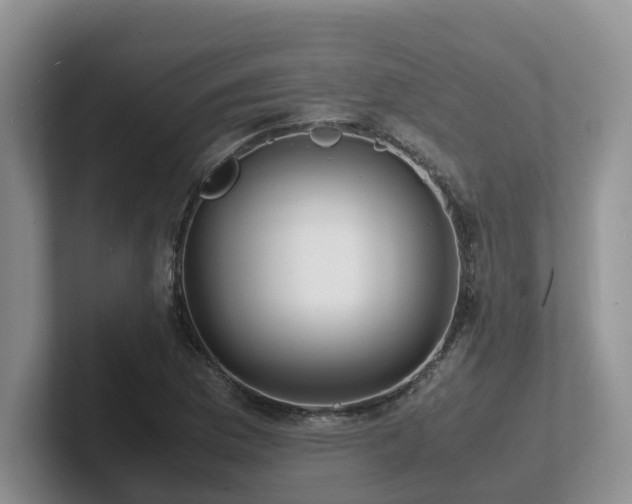 X0000102511169200808081404