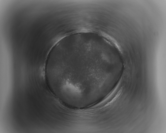 X0000102511170200808081404