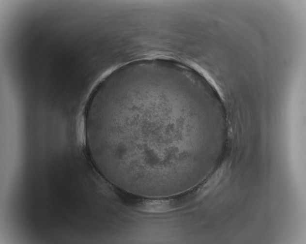 X0000102511171200808081404