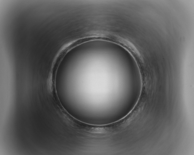 X0000102511172200808081404