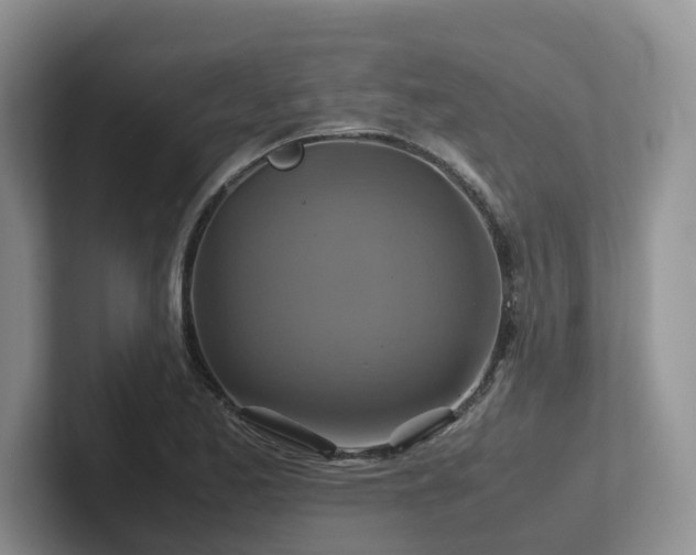 X0000102511173200808081404