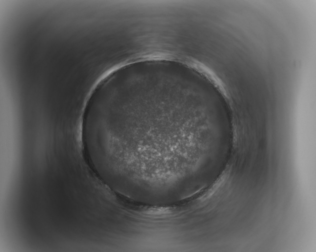 X0000102511174200808081404