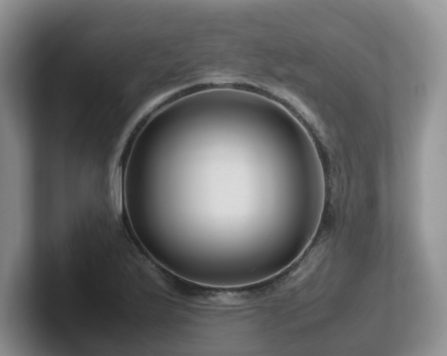 X0000102511175200808081404