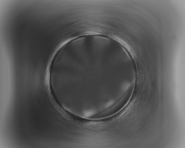 X0000102511179200808081404