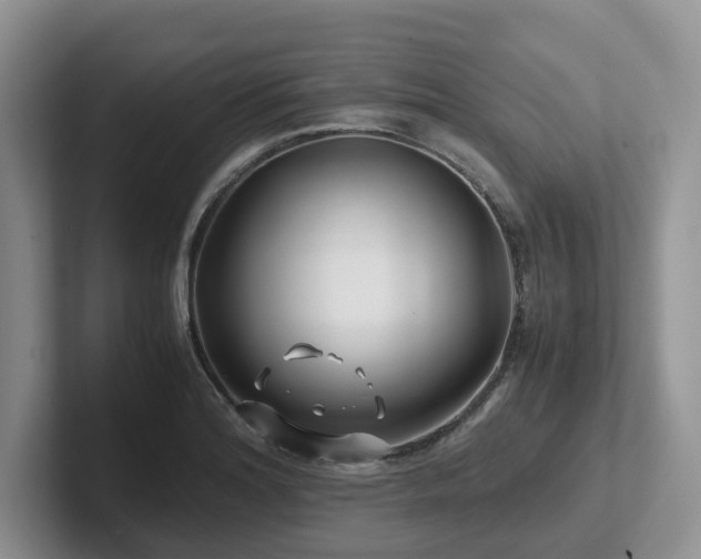 X0000102511180200808081404