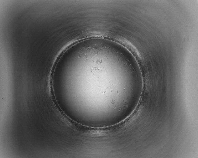 X0000102511182200808081404