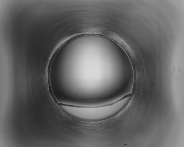 X0000102511184200808081404