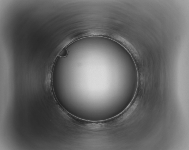 X0000102511185200808081404