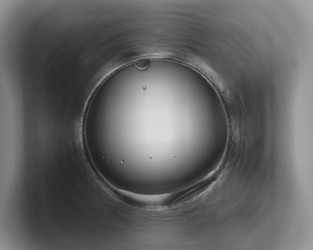 X0000102511186200808081403