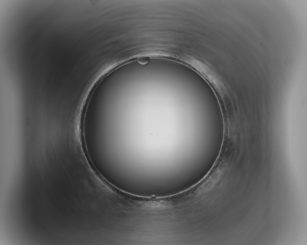 X0000102511189200808081403