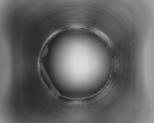 X0000102511190200808081403