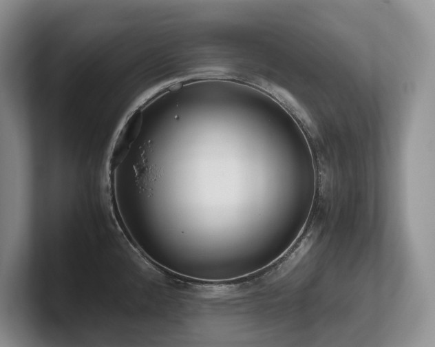 X0000102511192200808081403