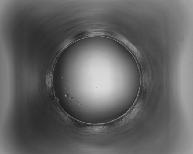 X0000102511193200808081403