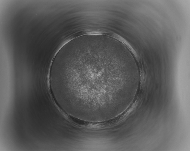 X0000102511194200808081403