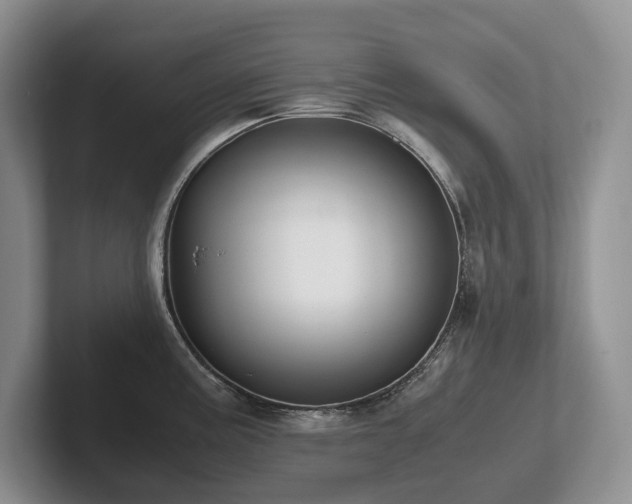 X0000102511195200808081403