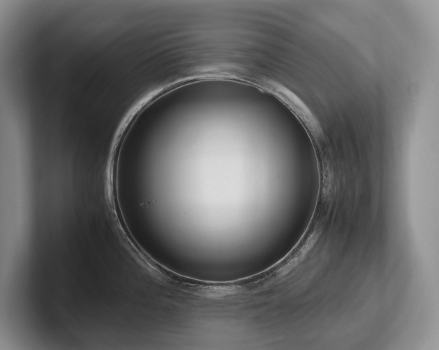 X0000102511196200808081403