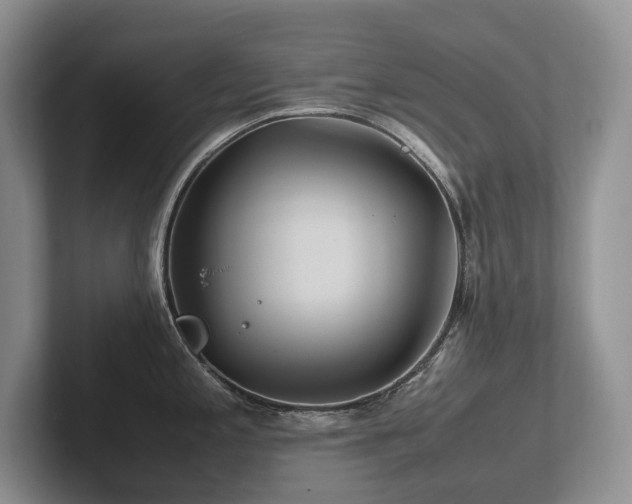 X0000102511197200808081403