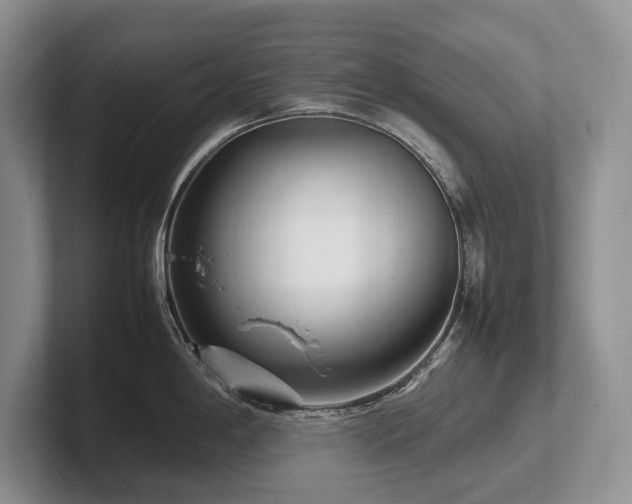 X0000102511198200808081403