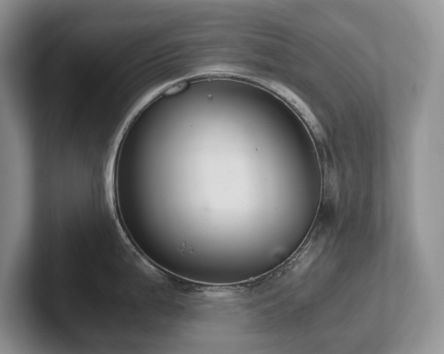 X0000102511199200808081403