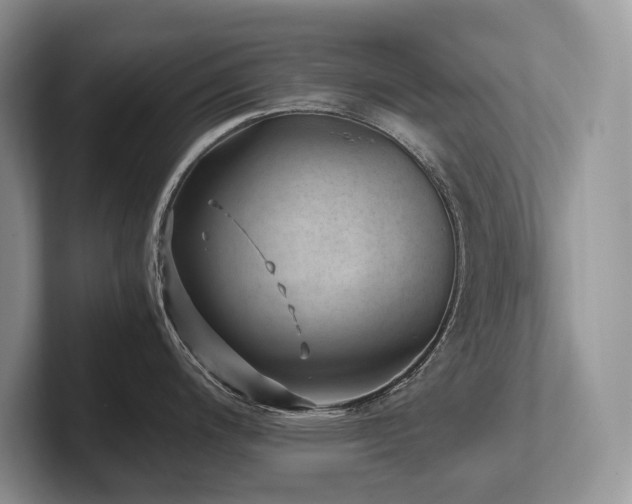 X0000102511200200808081403