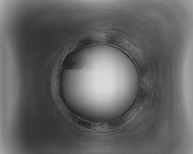 X0000102511201200808081403