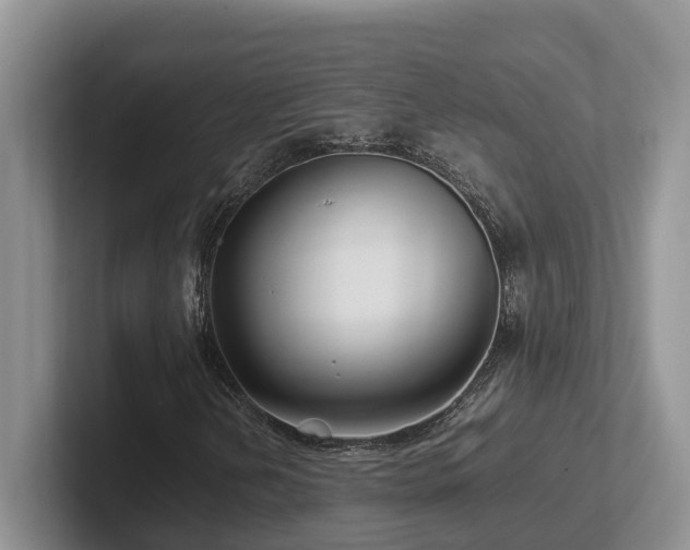 X0000102511202200808081403