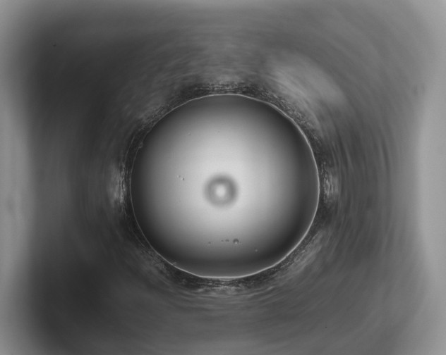 X0000102511204200808081403