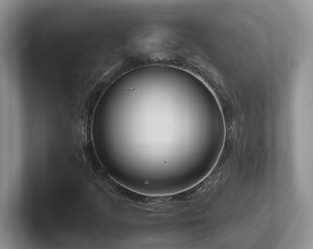 X0000102511205200808081403