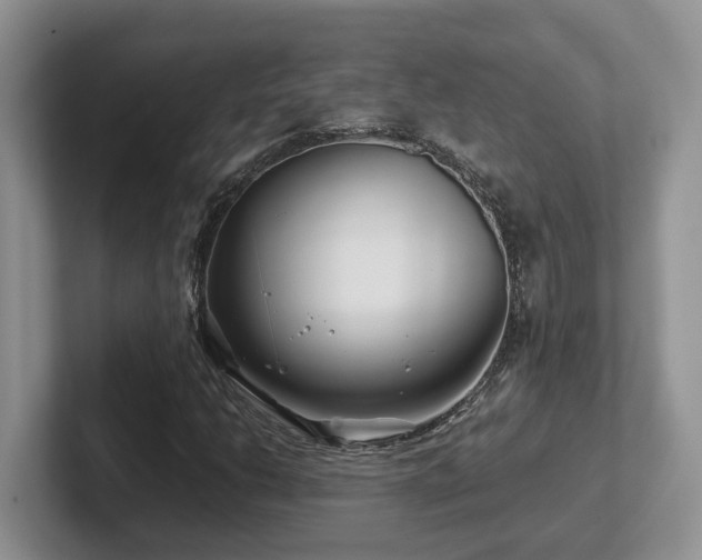 X0000102511206200808081403